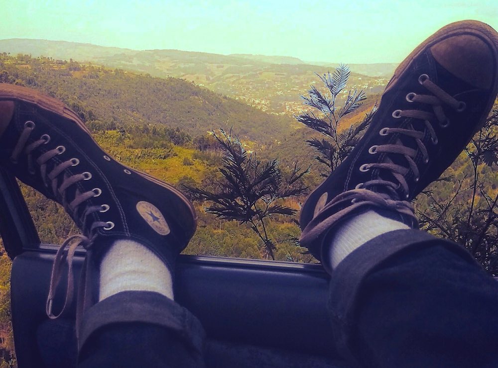 From Squirrel to Unicorn (Volunteer Life Part II)