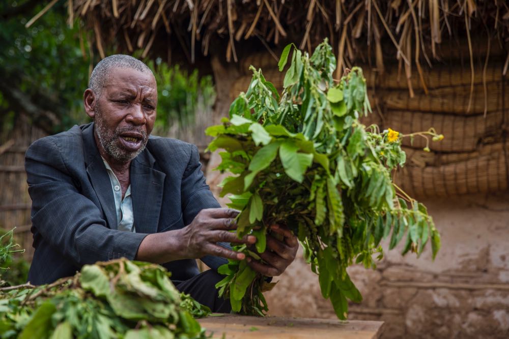 Going Deep with our Friend Traditional Healer