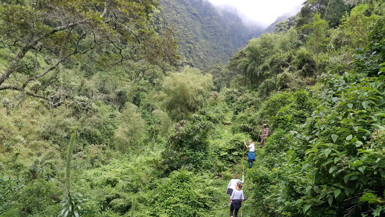Fresh Photos from Sabinyo Gorge