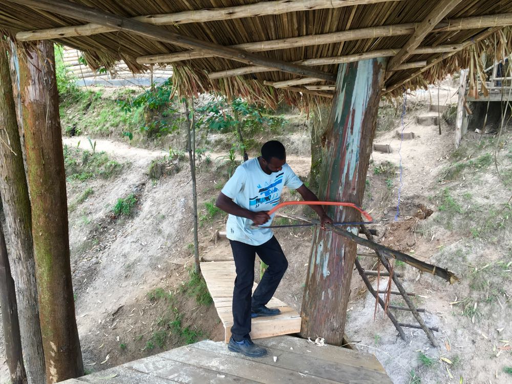 4-Day Gorilla Trek Starts Tomorrow