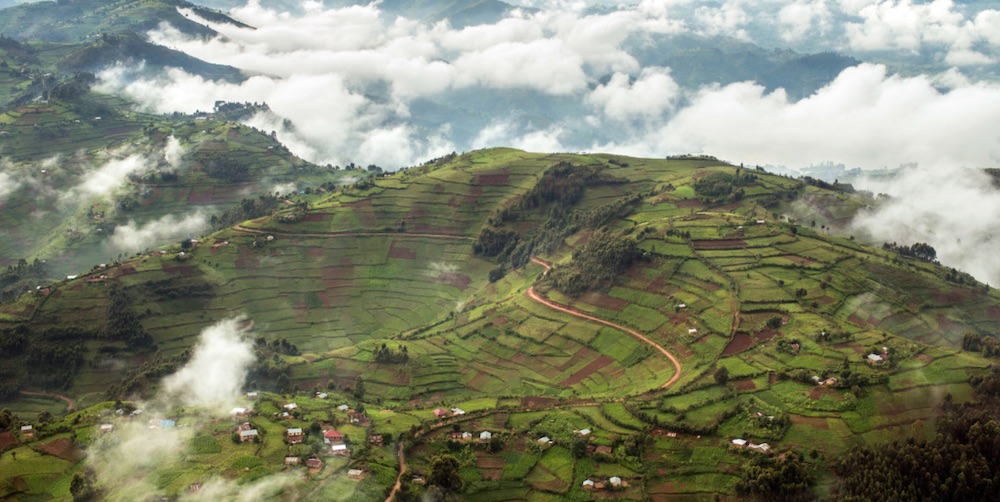 Lufthansa’s “Neighbor Gorilla”, Corrected