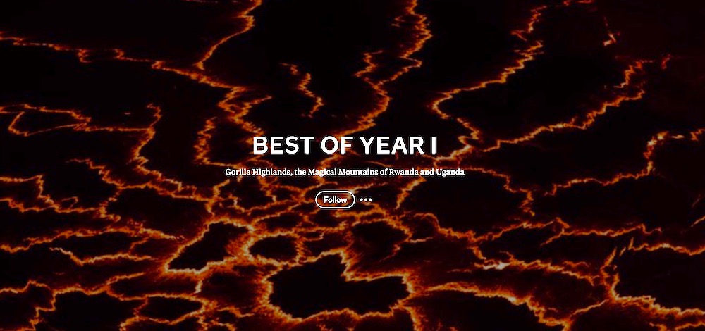 20 Best Stories from the Gorilla Highlands Blog