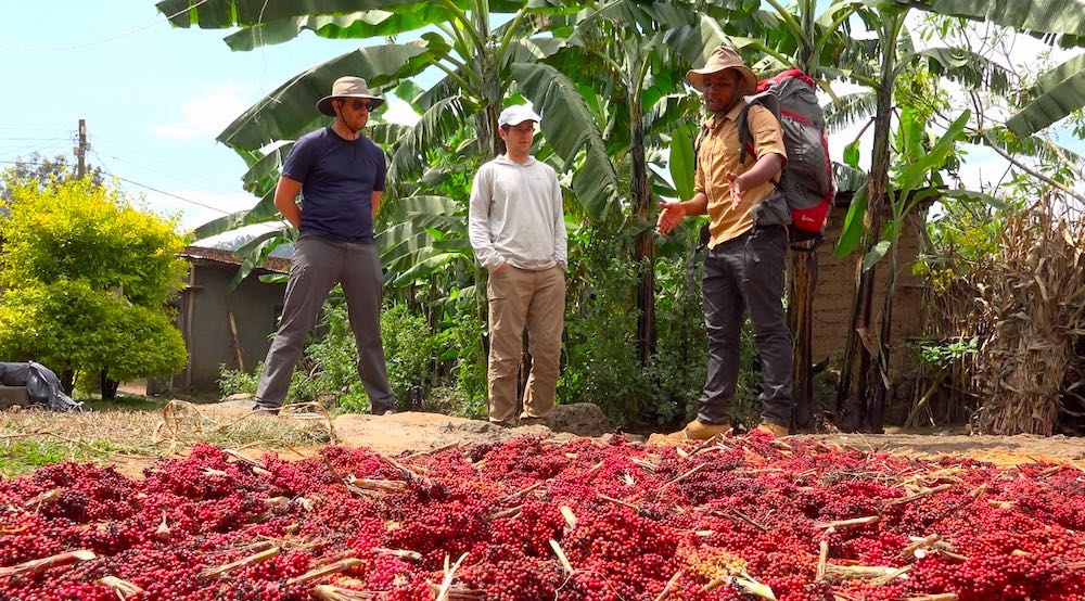 “Guides were Amazing”