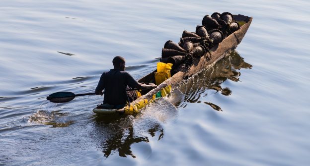 Our Focus: Build the Foundation