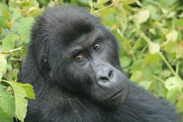 In Search of Great Stories – Press Trip 2015