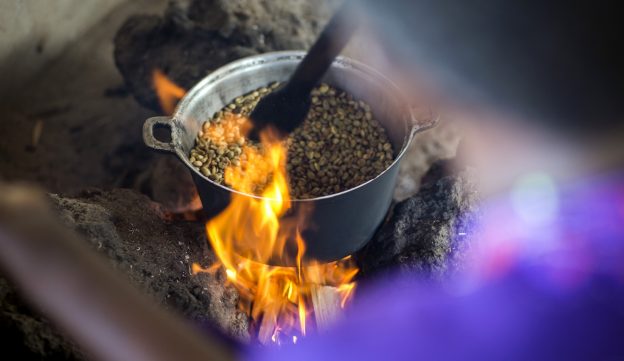 Unripe Berries: Alarms for Coffee Farms