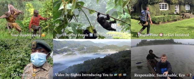 Wildlife, People, Prosperity (You Too Can Be a Godzilla Gorilla!)
