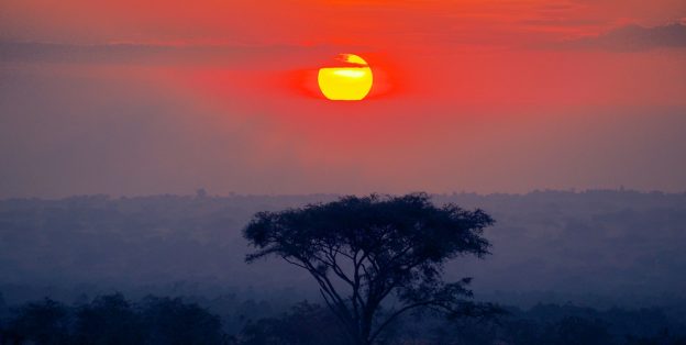 Should We Go to Tanzania for Our Safari?