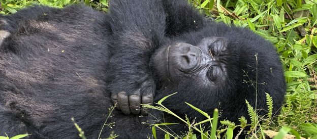 End of an Era — Don’t Miss!