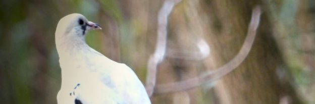 Rest in Peace, Pleasure Katusiime (June 2024 – April 2025)