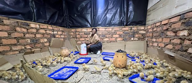 Eggs! Eggs!! Eggs!!!