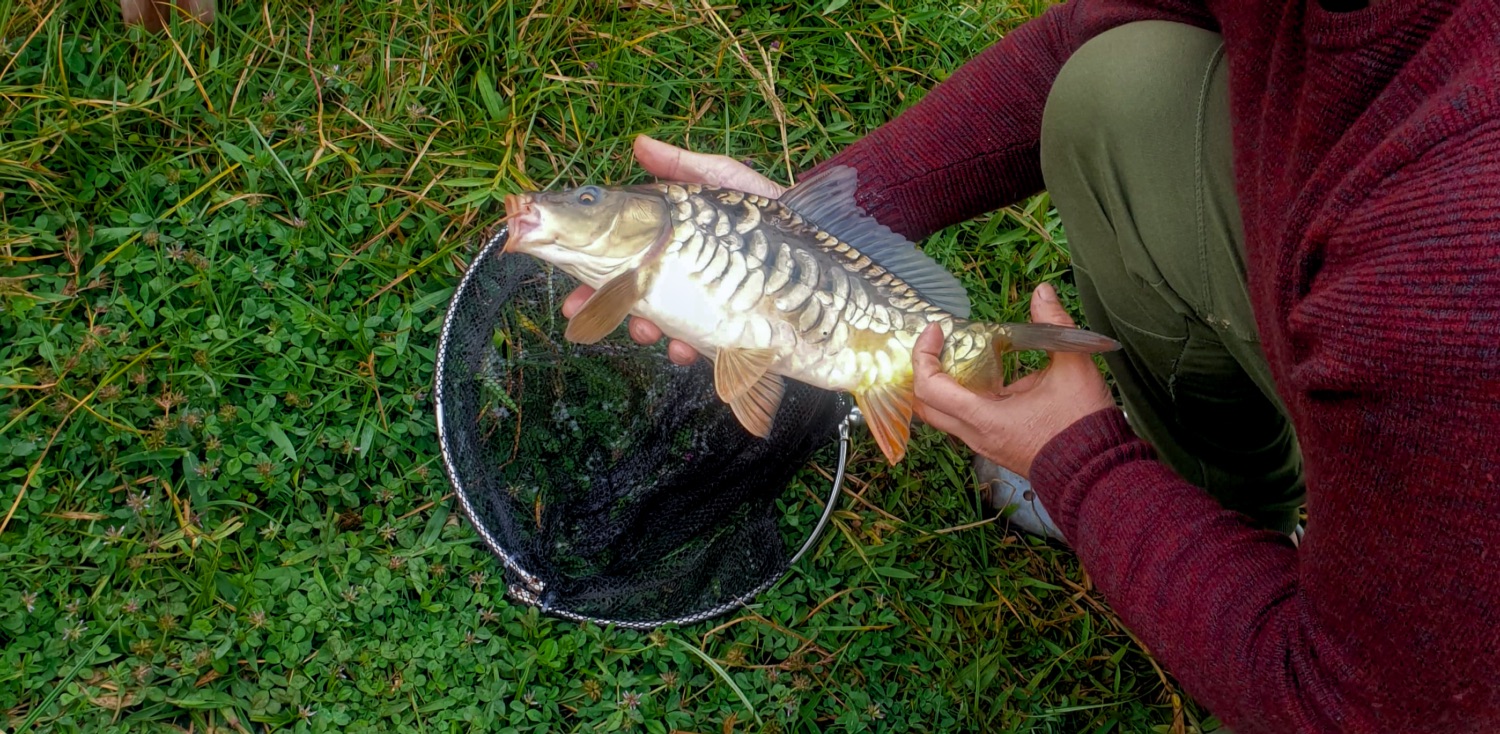 Drawn to the Thrill of the Catch? Consider Lake Chahafi! – Gorilla ...
