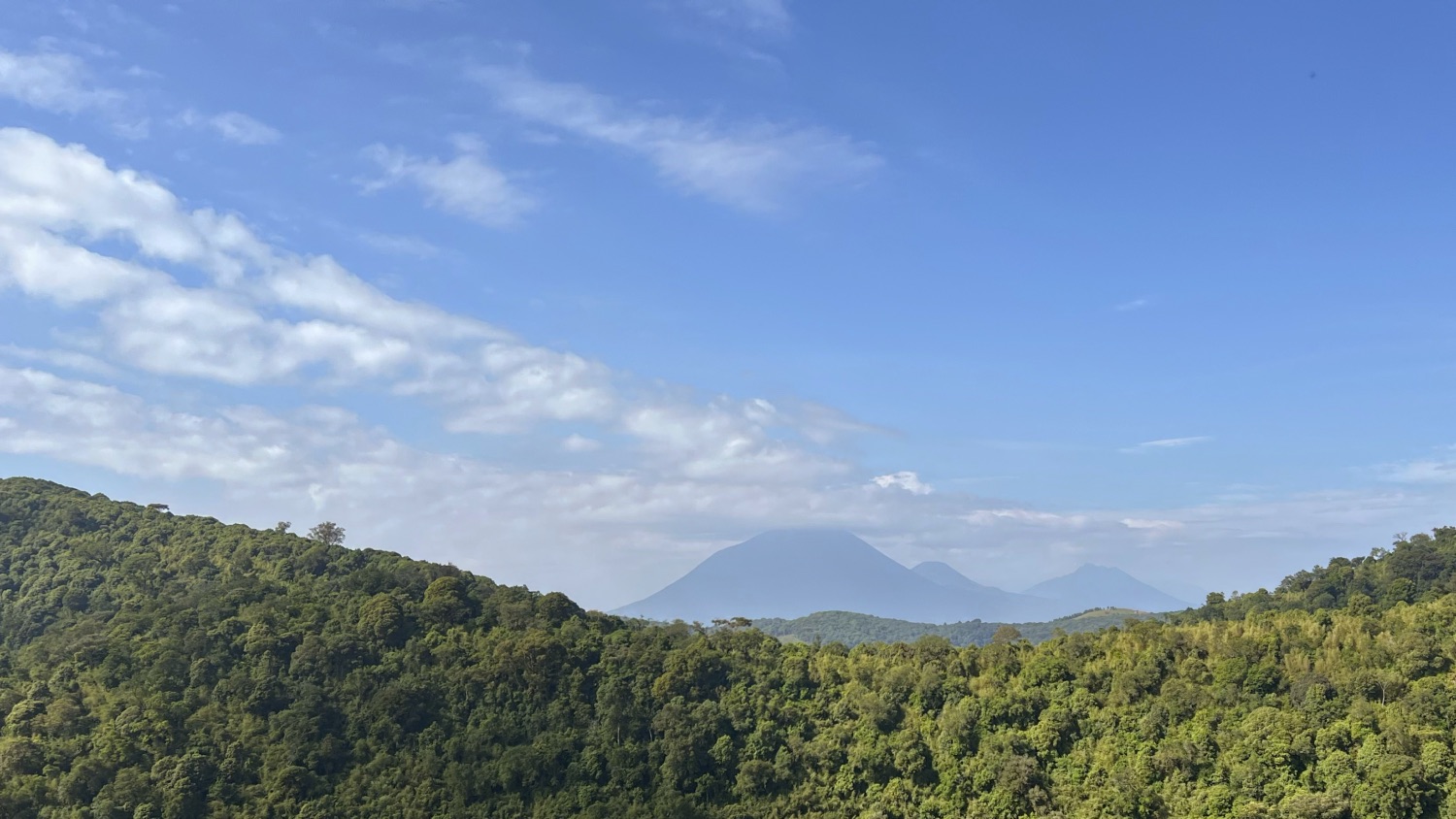 Listening to the Batwa, Not the Noise Around Them